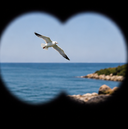 Compact Zoom Binoculars 30x60 - Foldable HD Binoculars for Hiking, Concerts & Bird Watching